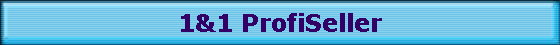 1&1 ProfiSeller